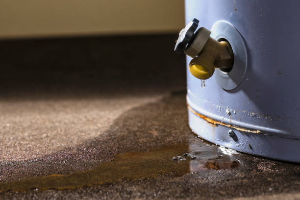 Best Water damage cleanup near me  in Eatonville, FL