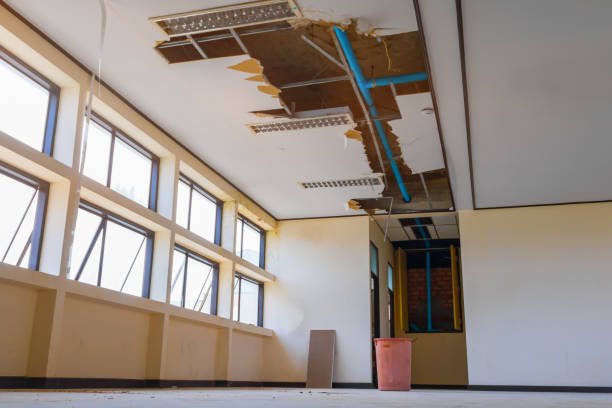 Best Water damage restoration insurance claims  in Eatonville, FL