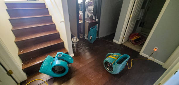 Best Water damage restoration near me  in Eatonville, FL
