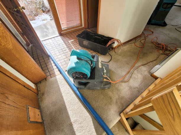 Best Fire Damage Restoration  in Eatonville, FL