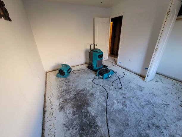 Best Commercial water damage restoration  in Eatonville, FL