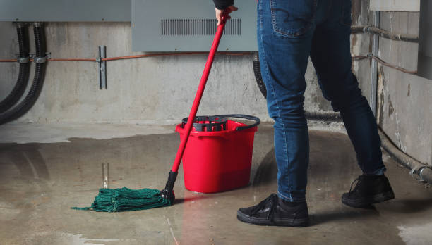 Best Water damage restoration near me  in Eatonville, FL