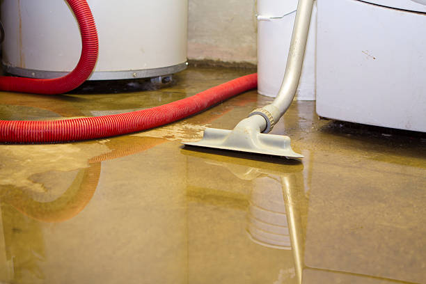 Best Emergency water damage restoration  in Eatonville, FL