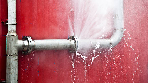 Best Water damage restoration company  in Eatonville, FL